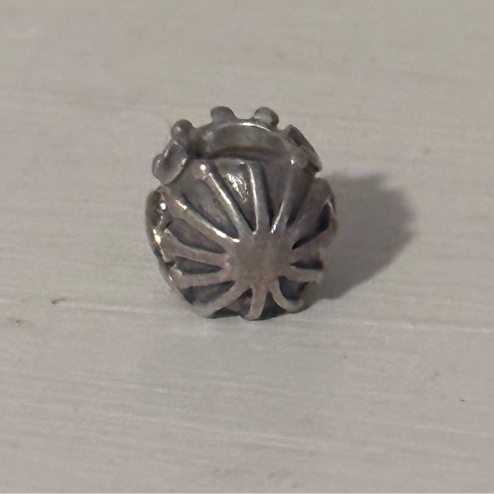 Pandora charm